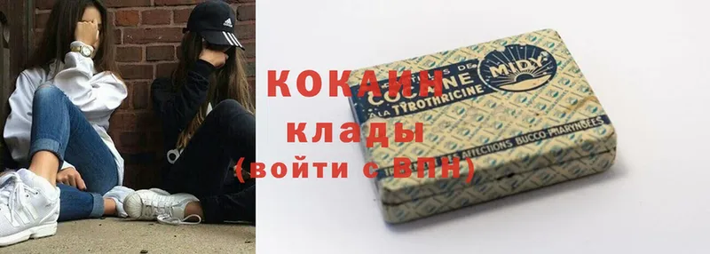 Cocaine Эквадор  где можно купить   Щёкино 