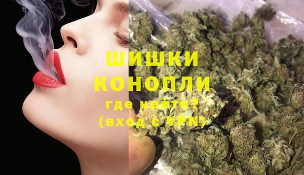 apvp Новозыбков