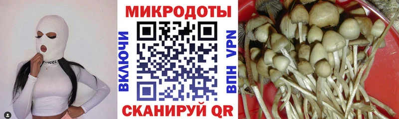 Псилоцибиновые грибы Magic Shrooms Щёкино